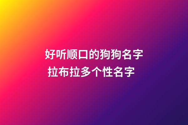好听顺口的狗狗名字 拉布拉多个性名字